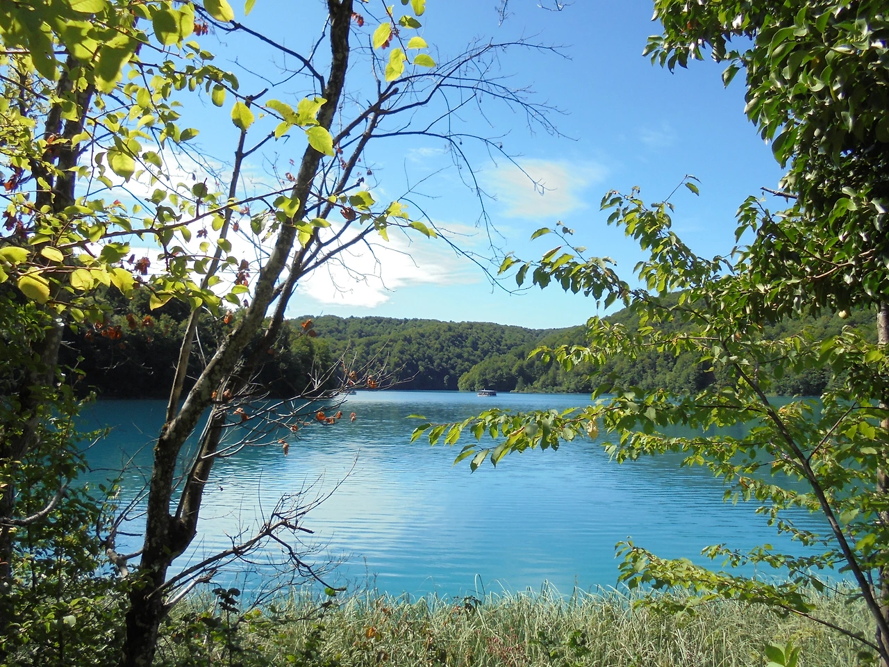 20170728 40일간 유럽15개국 여행 크로아티아 플리트비체 호수 국립공원 (125).JPG