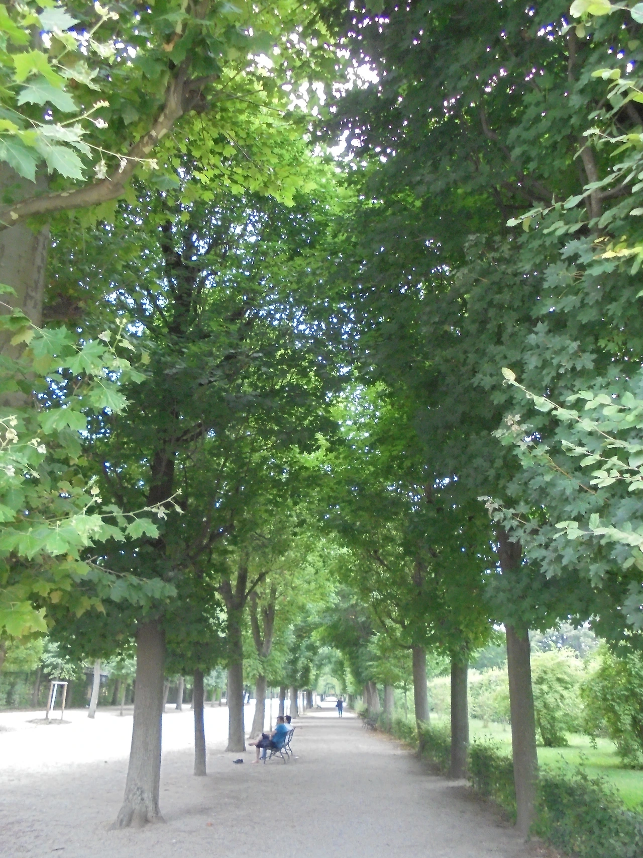 20170730 40일간 유럽15개국 여행 오스트리아 비엔나(현대미술관,슈테판대성당,Hofburg궁전,시청,의회,Albertina,오페라극장,벨베데레궁전,쇤브룬궁전) (324).JPG