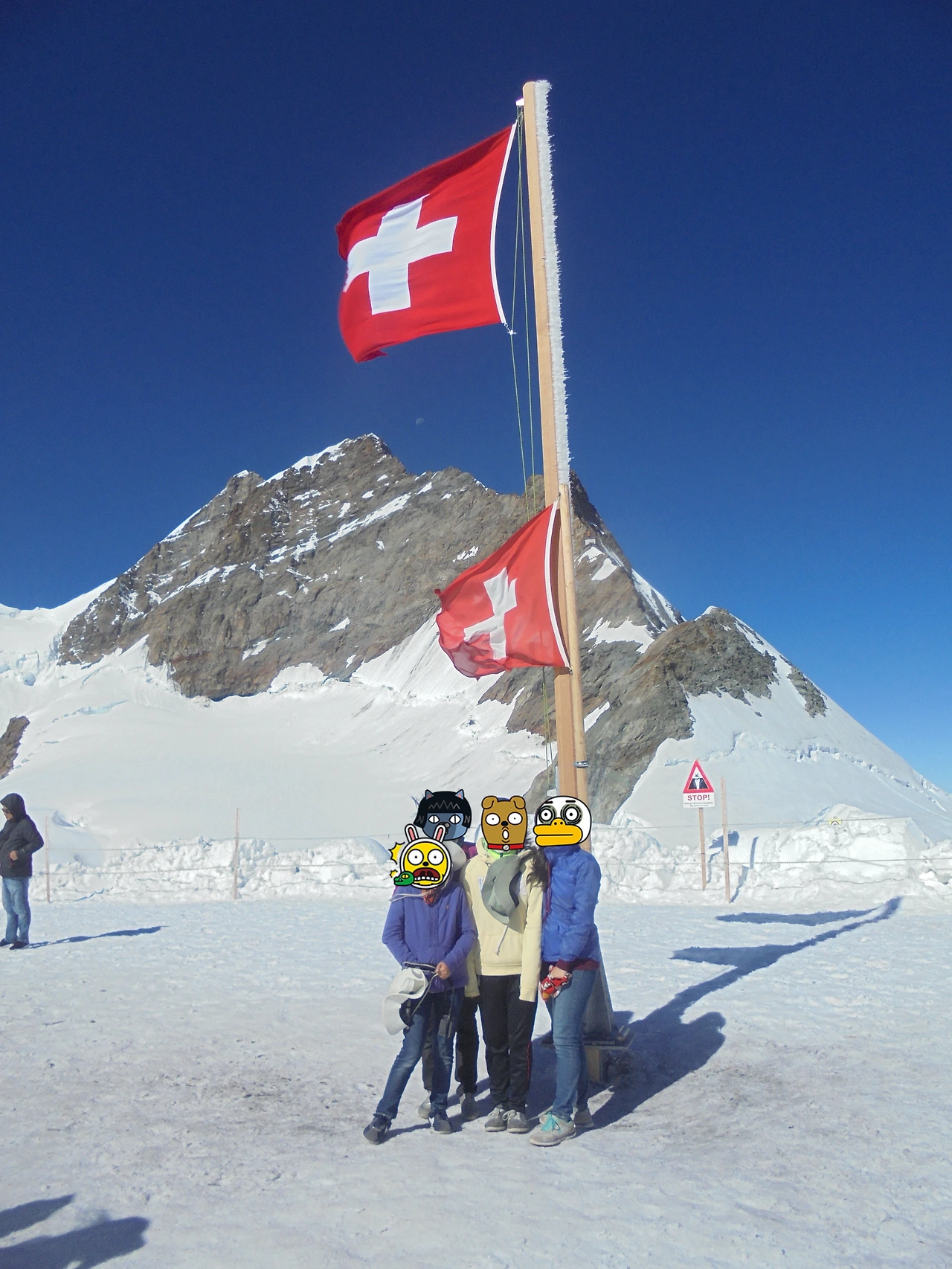 20170715 40일간 유럽15개국 여행 융프라우, Schynige Platte (85).JPG