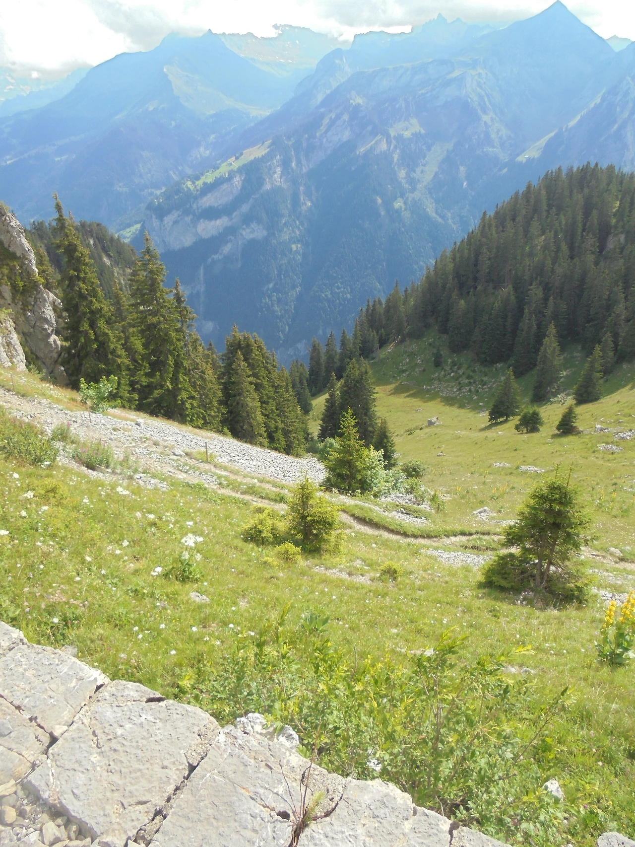 20170715 40일간 유럽15개국 여행 융프라우, Schynige Platte (267).JPG