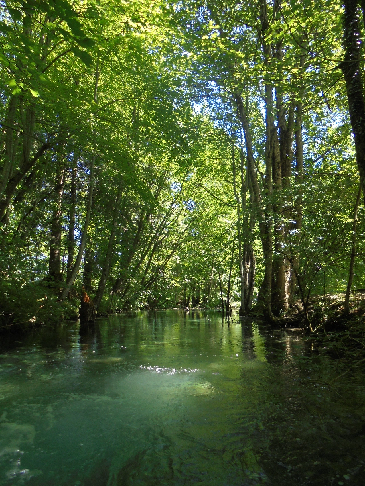 20170728 40일간 유럽15개국 여행 크로아티아 플리트비체 호수 국립공원 (170).JPG