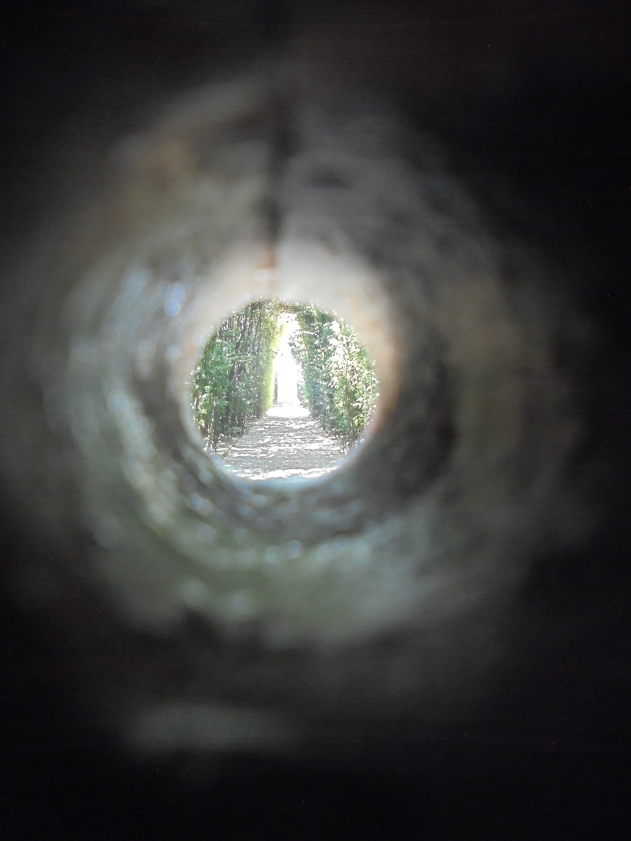 20170720 40일간 유럽15개국 여행 걸어서 로마 St.천사의 성, 테베레 강, 오렌지 정원, 아벤티노 언덕, 장미정원 (87).JPG