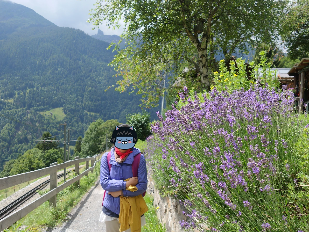 20170714 40일간 유럽15개국 여행 스위스 융프라우 기차와 곤돌라, 케이블카 타고 구경, Thun호수 (90).JPG