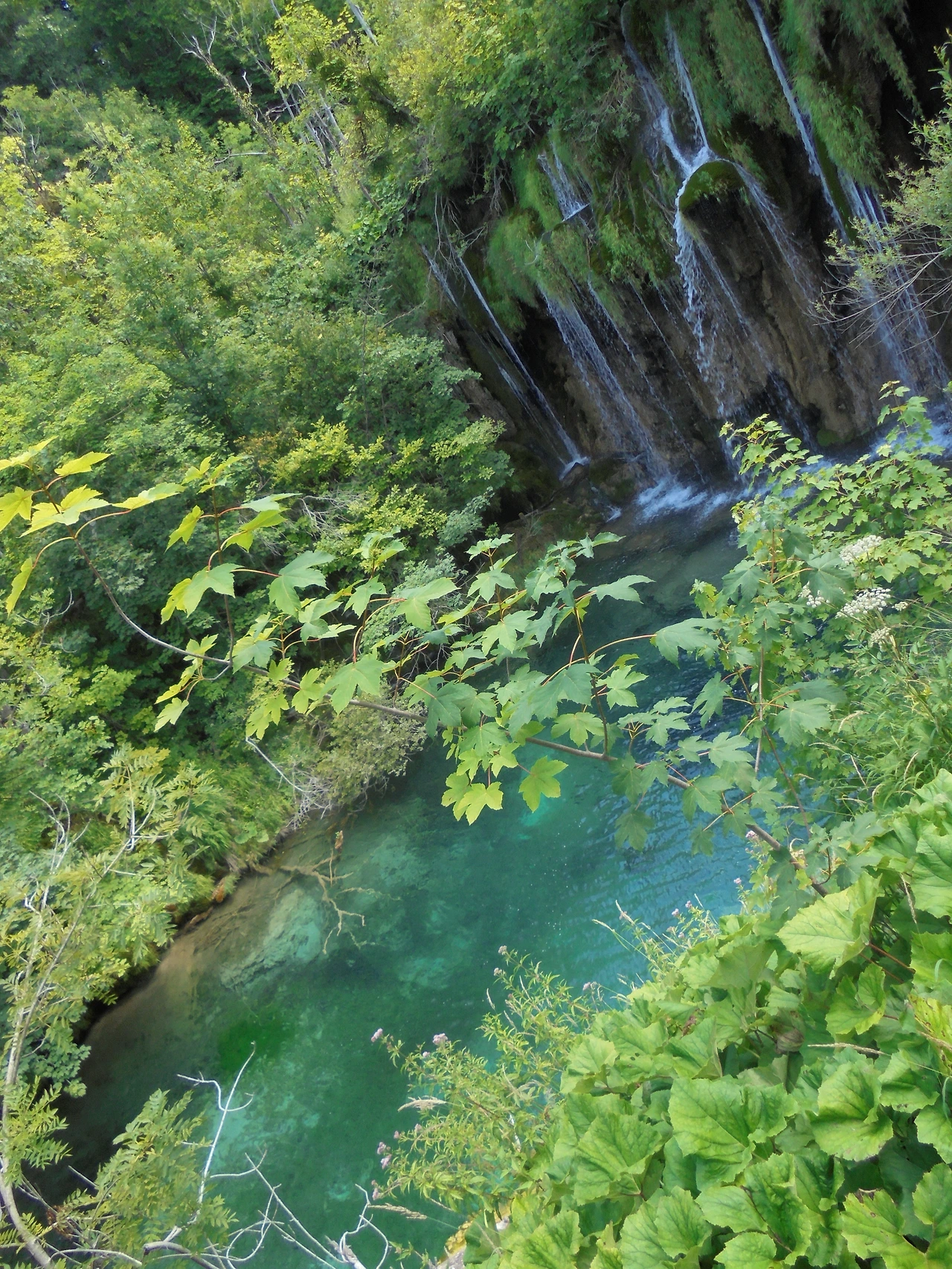 20170728 40일간 유럽15개국 여행 크로아티아 플리트비체 호수 국립공원 (244).JPG