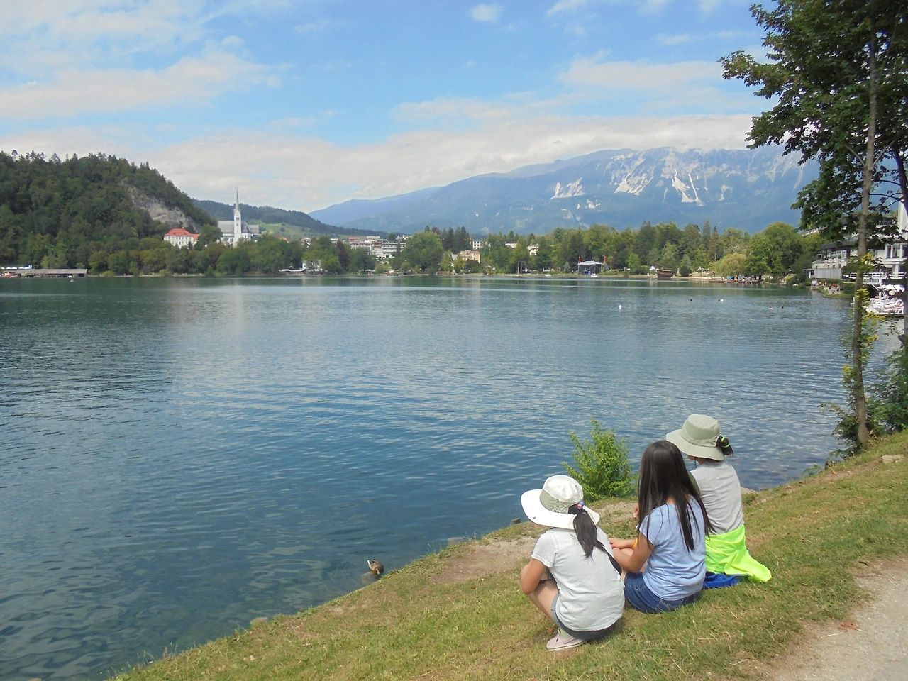 20170729 40일간 유럽15개국 여행 슬로베니아 류블라냐, 블레드 호수 지나 비엔나로 (75).JPG