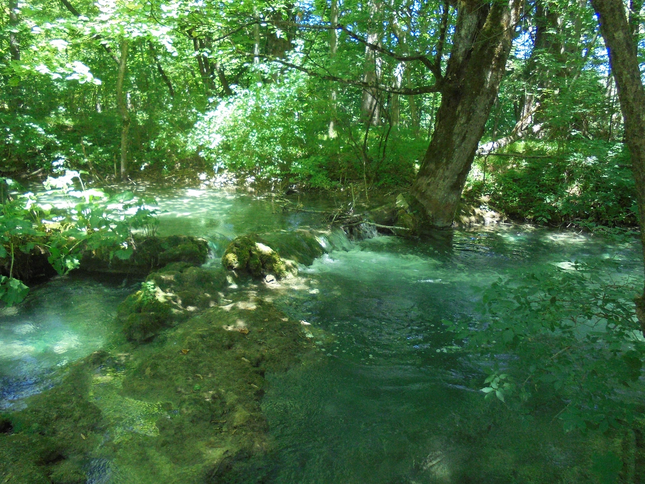 20170728 40일간 유럽15개국 여행 크로아티아 플리트비체 호수 국립공원 (168).JPG