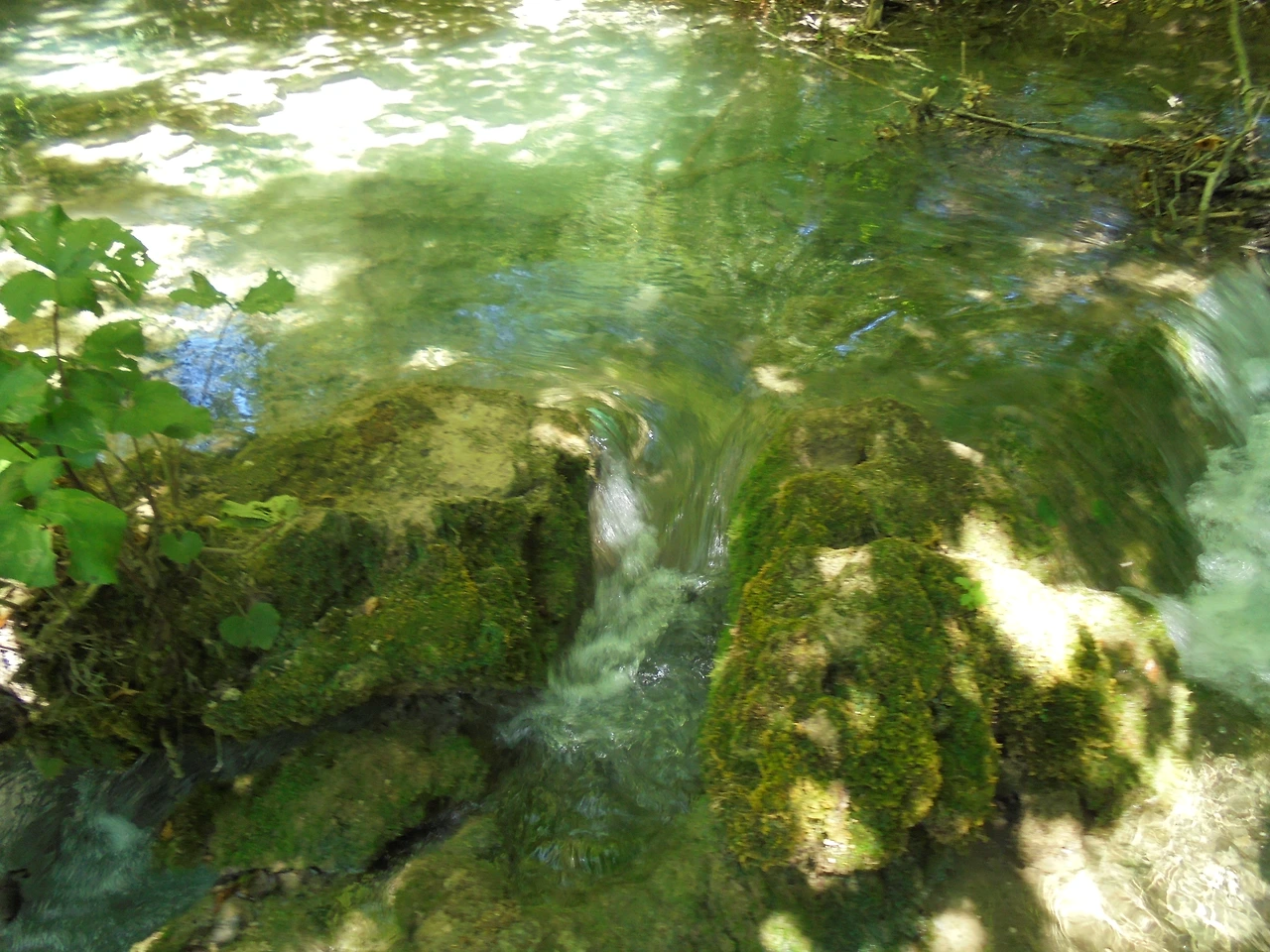 20170728 40일간 유럽15개국 여행 크로아티아 플리트비체 호수 국립공원 (171).JPG