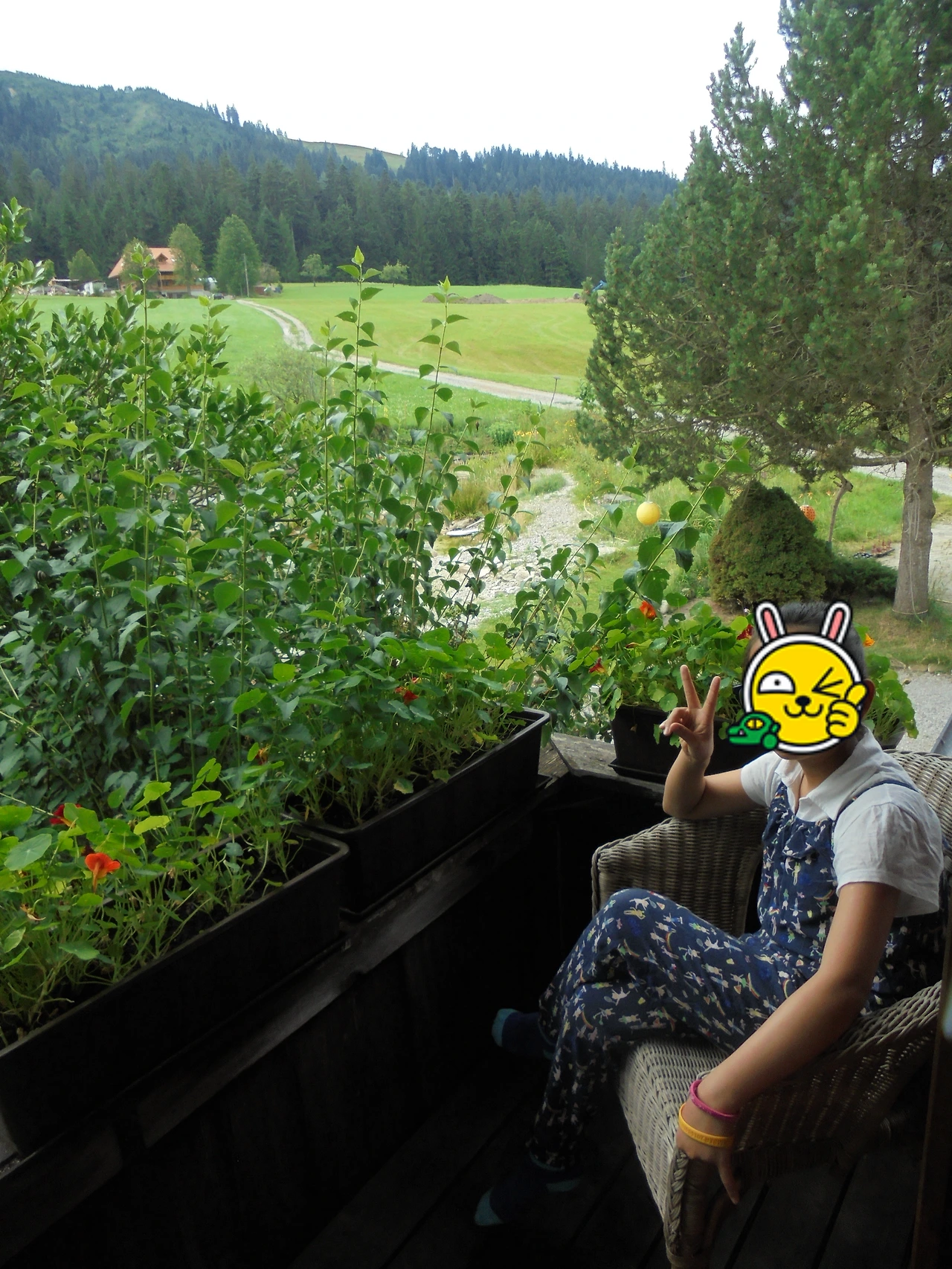 20170716 40일간 유럽15개국 여행 스위스 인터라켄에서 제네바를 거쳐 프랑스쪽 몽블랑 (39).JPG