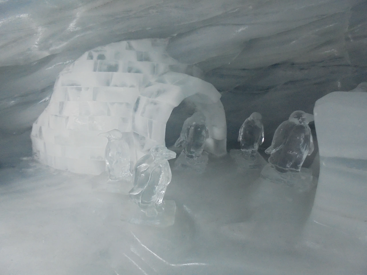 20170715 40일간 유럽15개국 여행 융프라우, Schynige Platte (75).JPG