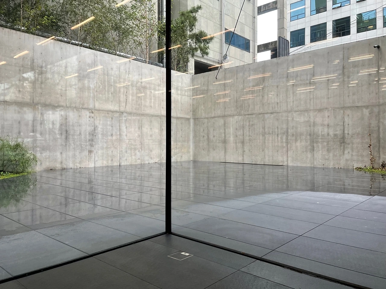 KakaoTalk_Photo_2021-10-08-11-24-16 022.jpeg