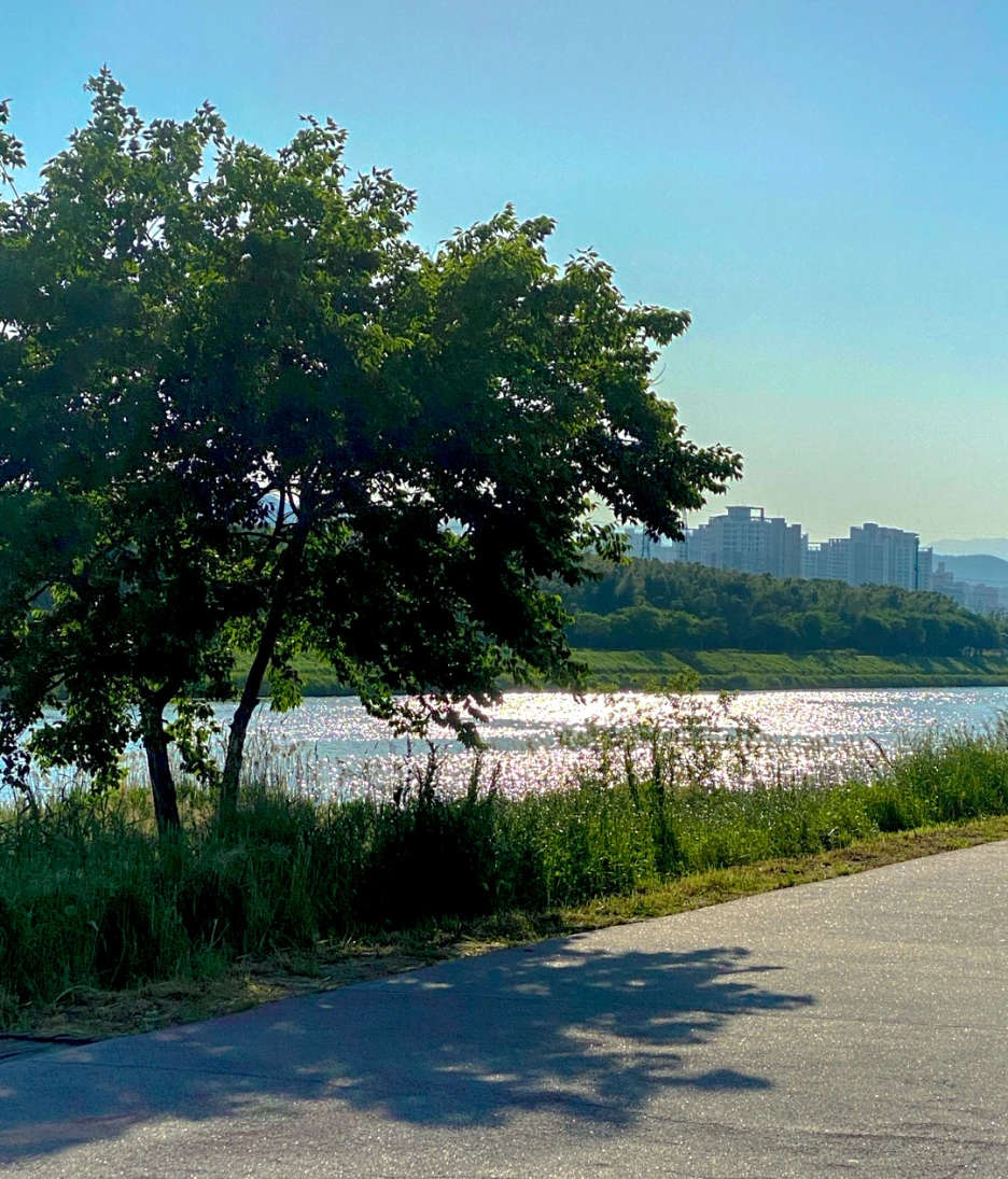 SE-e7c8616a-a688-4d31-8f10-aff3643d6b4b.png?type=w1