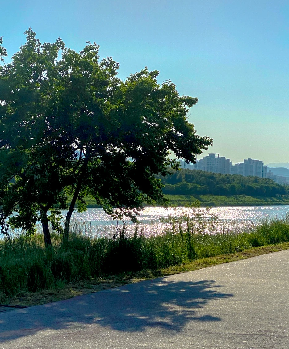 SE-95ccfef2-3670-4737-897d-25e5d84186fe.png?type=w1