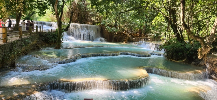 900%EF%BC%BF20241112%EF%BC%BF132426.jpg?type=w966