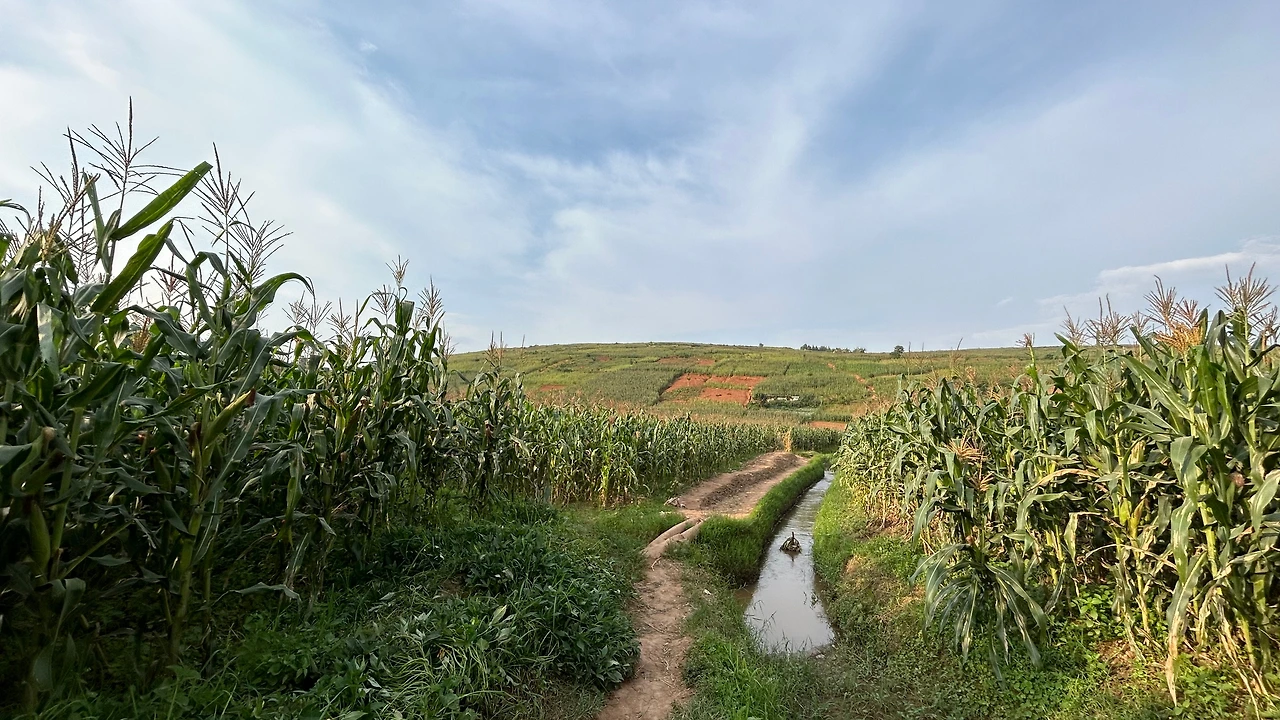 KakaoTalk_Photo_2023-12-25-12-08-19 003.jpeg