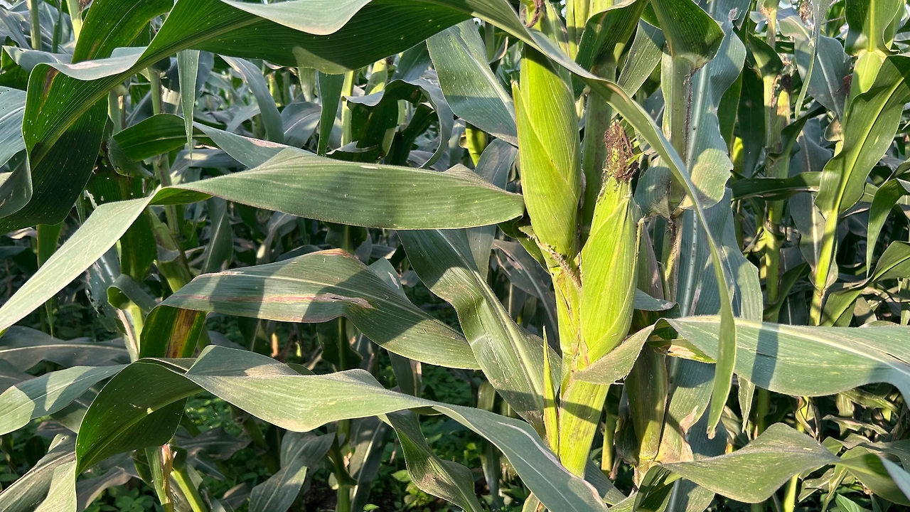 KakaoTalk_Photo_2023-12-25-12-08-14 002.jpeg