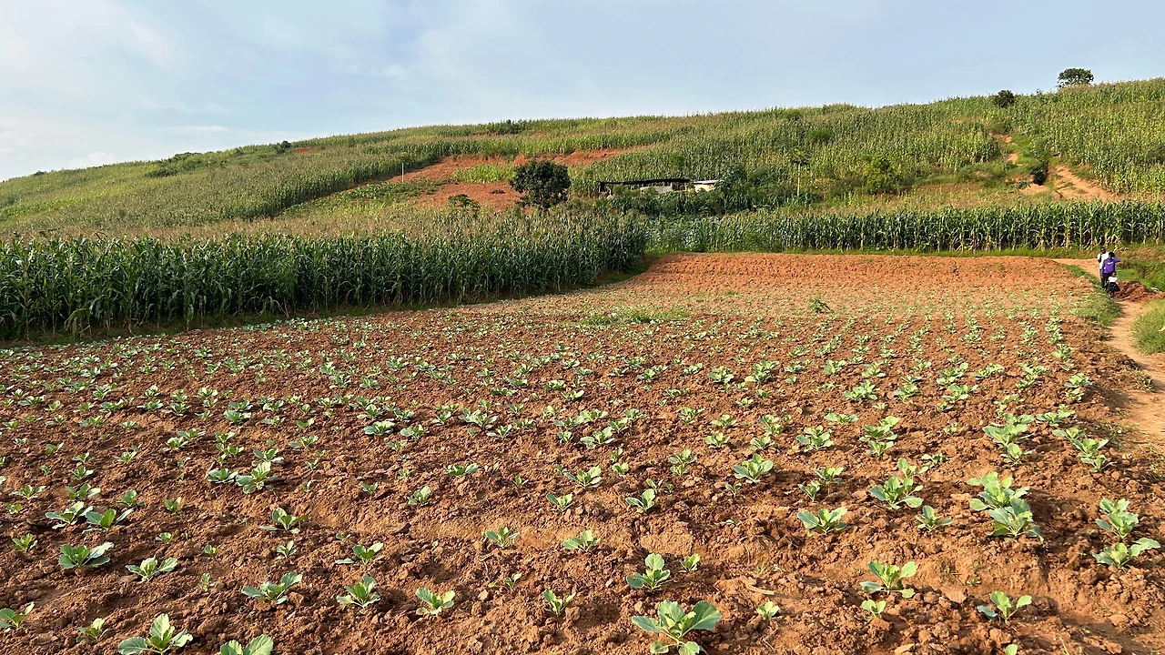 KakaoTalk_Photo_2023-12-25-12-09-19 010.jpeg