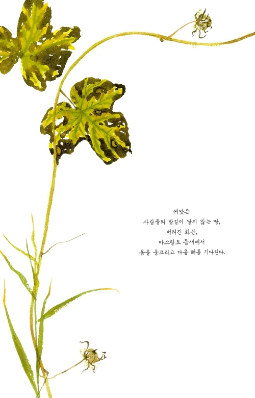 K932532234_t7.jpg?type=w773