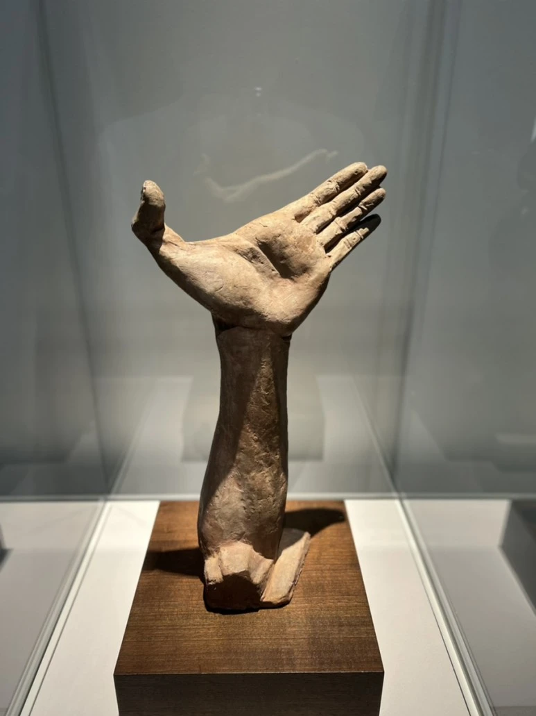 IMG_2663.jpg?type=w773