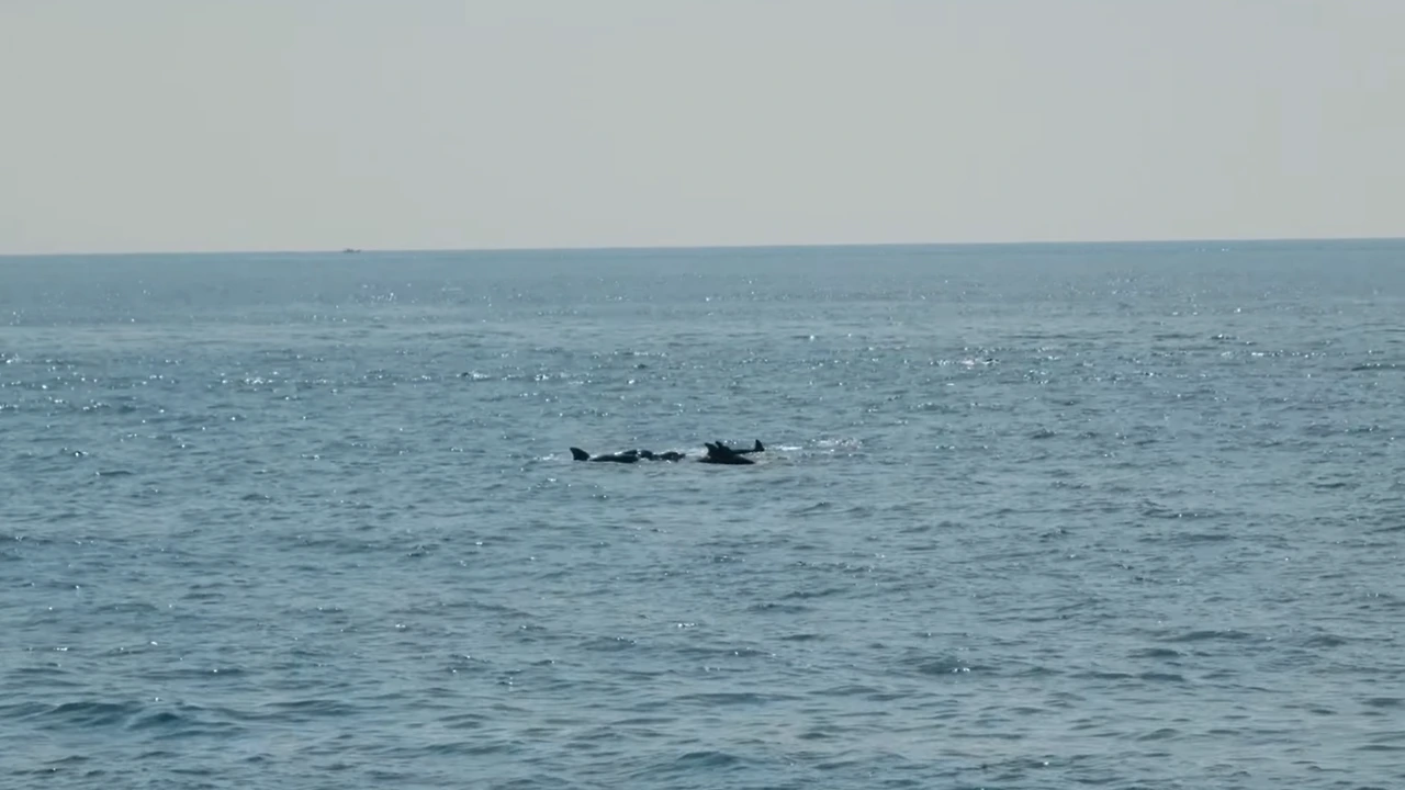 img.png?credential=yqXZFxpELC7KVnFOS48ylbz2pIh7yKj8&expires=1759244399&allow_ip=&allow_referer=&signature=rgK%2FTCM2yg3i7eu9v8%2FI%2BMALtb4%3D