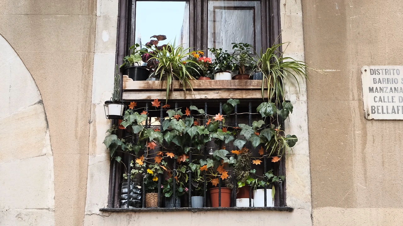 img.png?credential=yqXZFxpELC7KVnFOS48ylbz2pIh7yKj8&expires=1759244399&allow_ip=&allow_referer=&signature=g0twFKkxJXKkt4ltqPqgnU21amk%3D