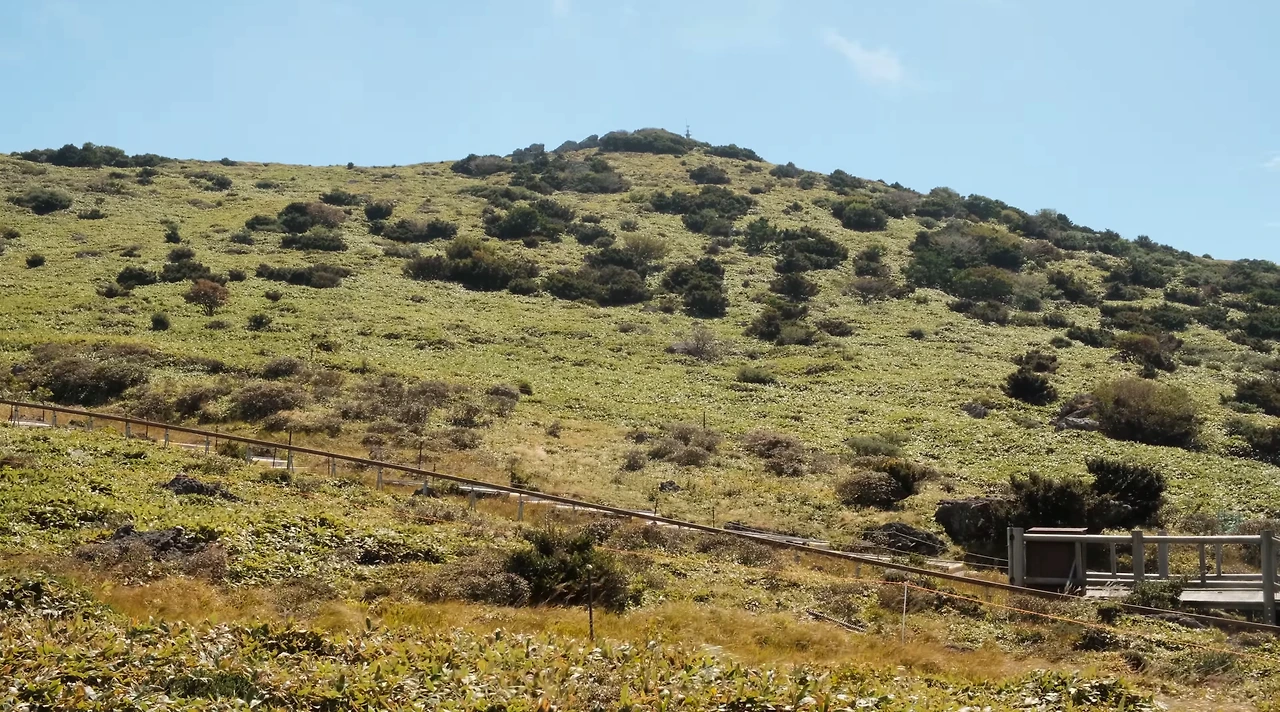 img.jpg?credential=yqXZFxpELC7KVnFOS48ylbz2pIh7yKj8&expires=1759244399&allow_ip=&allow_referer=&signature=7OJPYui8yol%2BX1a7%2FA1p4eCuri0%3D