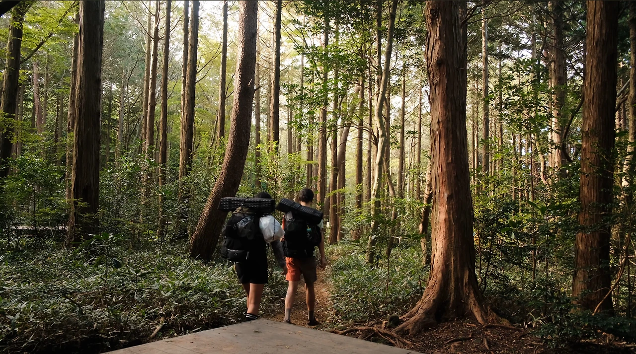 img.jpg?credential=yqXZFxpELC7KVnFOS48ylbz2pIh7yKj8&expires=1759244399&allow_ip=&allow_referer=&signature=ClYPoEs1mUbUVNUTeA8BJmr3%2F2k%3D