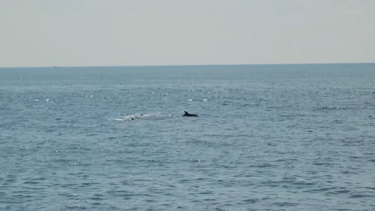 img.png?credential=yqXZFxpELC7KVnFOS48ylbz2pIh7yKj8&expires=1759244399&allow_ip=&allow_referer=&signature=WPPvV1M%2FvL2exn%2BqHXMFgCMzQaY%3D