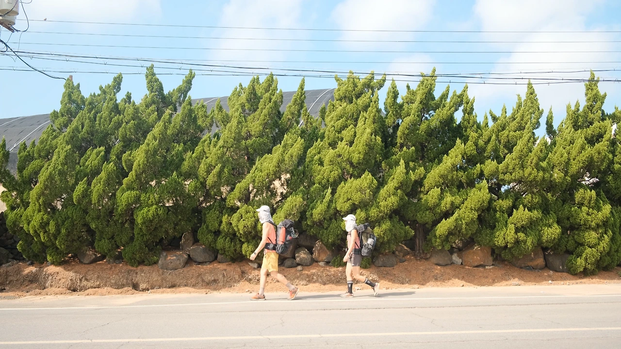 img.png?credential=yqXZFxpELC7KVnFOS48ylbz2pIh7yKj8&expires=1759244399&allow_ip=&allow_referer=&signature=9BGfKALtQLoDw9fZxrz%2BP3s813c%3D