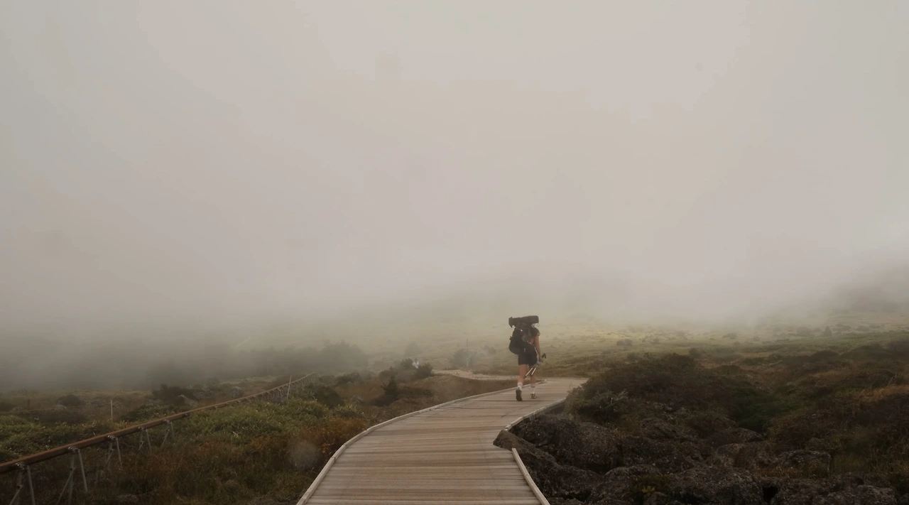 img.jpg?credential=yqXZFxpELC7KVnFOS48ylbz2pIh7yKj8&expires=1759244399&allow_ip=&allow_referer=&signature=LYrEDkqb3qohqQ%2FAOrMQdEC1yVY%3D