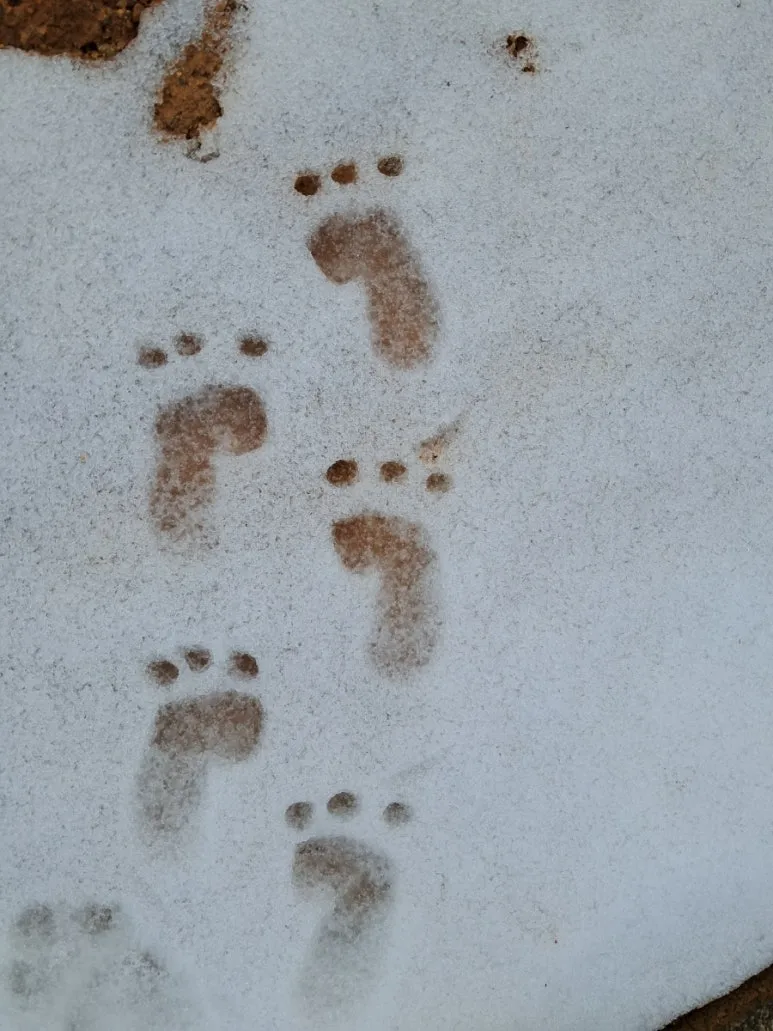 900%EF%BC%BF20250308%EF%BC%BF152637.jpg?type=w773