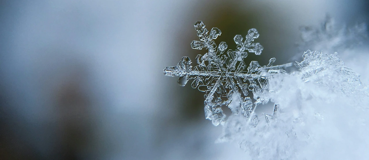 img.png?credential=yqXZFxpELC7KVnFOS48ylbz2pIh7yKj8&expires=1769871599&allow_ip=&allow_referer=&signature=y3Fp3vjiyVwHnMWRWM%2BhSHDjLB0%3D