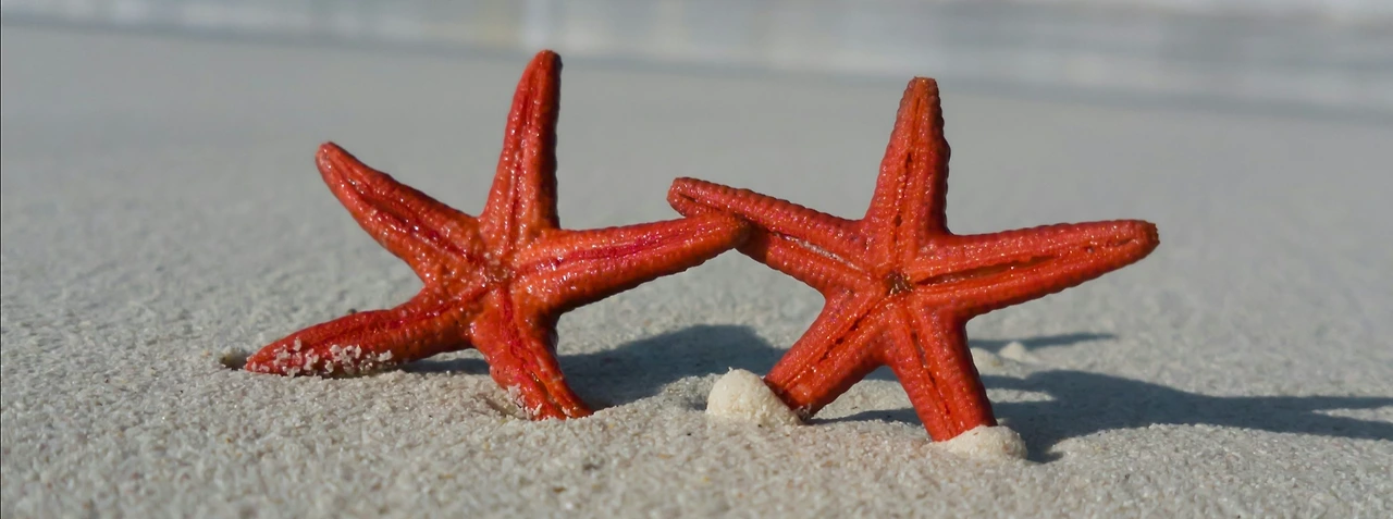 img.png?credential=yqXZFxpELC7KVnFOS48ylbz2pIh7yKj8&expires=1769871599&allow_ip=&allow_referer=&signature=VNoK6tbR32T8wYznSXZAch3A%2Fts%3D