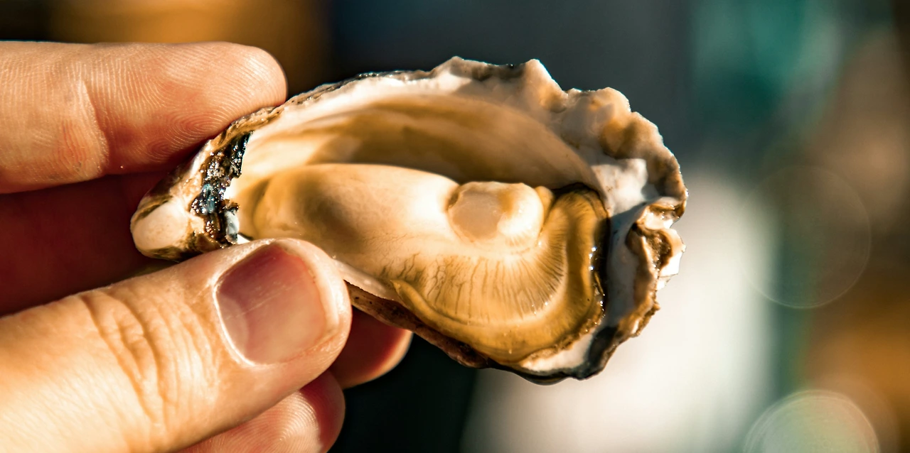 img.png?credential=yqXZFxpELC7KVnFOS48ylbz2pIh7yKj8&expires=1769871599&allow_ip=&allow_referer=&signature=6%2FTk%2FctYKSahScr8V%2BWTz0CbLO4%3D