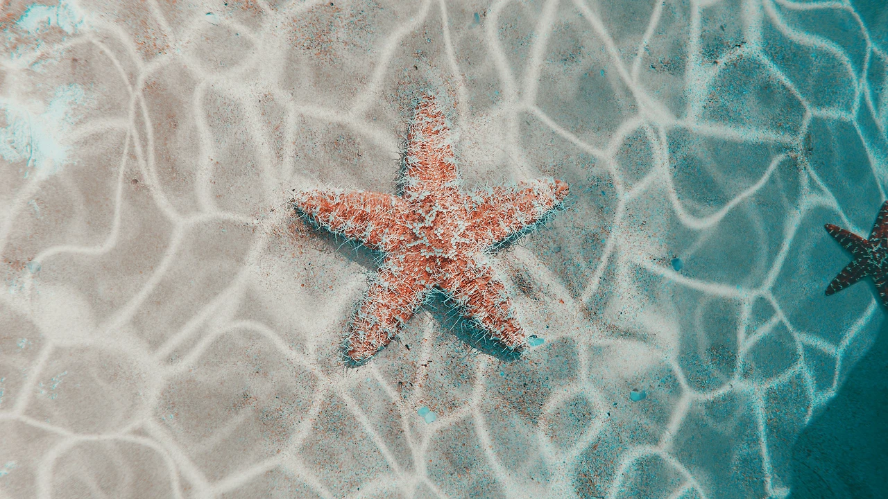 img.jpg?credential=yqXZFxpELC7KVnFOS48ylbz2pIh7yKj8&expires=1769871599&allow_ip=&allow_referer=&signature=mTj5iduaez%2Bkw%2FjoHirErPHn7mE%3D