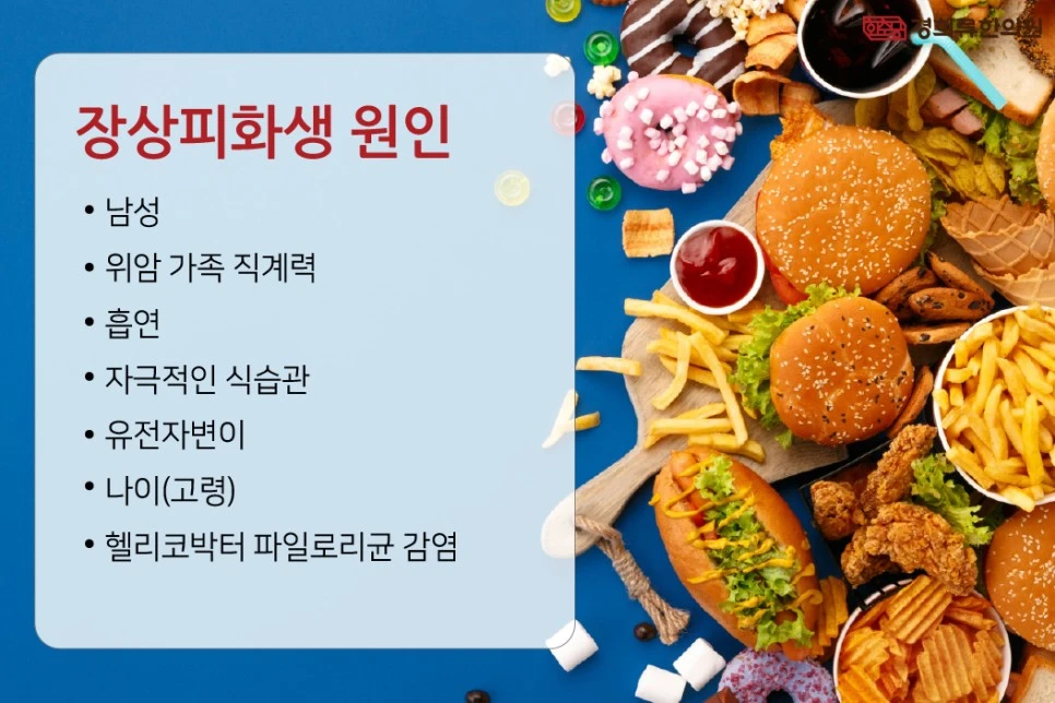 231207_%EC%9E%A5%EC%83%81%ED%94%BC%ED%99%94%EC%83%9D%ED%95%9C%EC%9D%98%EC%9B%9004.jpg?type=w966