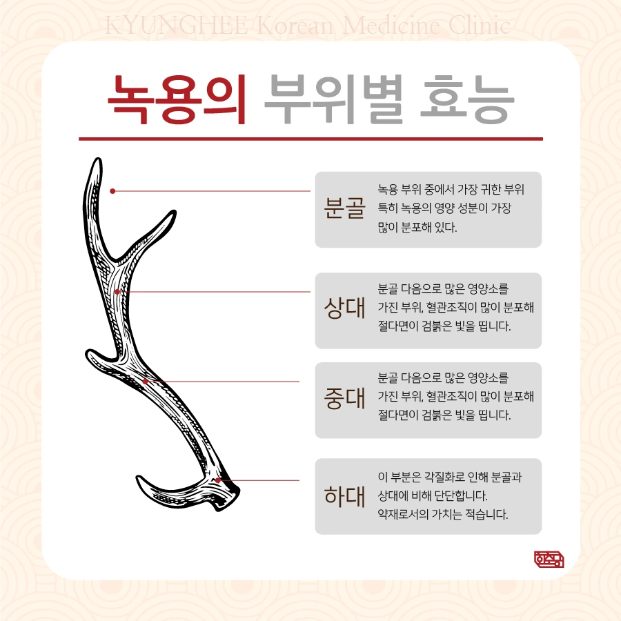 231012_%EC%82%B0%ED%9B%84%EB%B3%B4%EC%95%BD%EB%85%B9%EC%9A%A904.jpg?type=w966