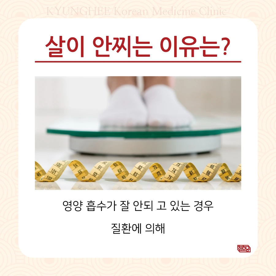 231026_%EB%A8%B9%EC%96%B4%EB%8F%84%EC%82%B4%EC%9D%B4%EC%95%88%EC%AA%84%EC%9A%9402.jpg?type=w966