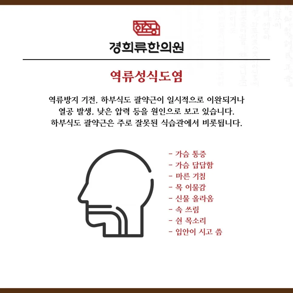 %EC%97%AD%EB%A5%98%EC%84%B1%EC%8B%9D%EB%8F%84%EC%97%BC.jpg?type=w966