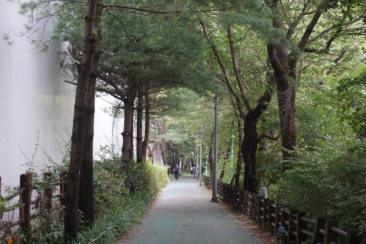 동작역에서 반포주공아파트 정문쪽으로 가는 산책길.JPG