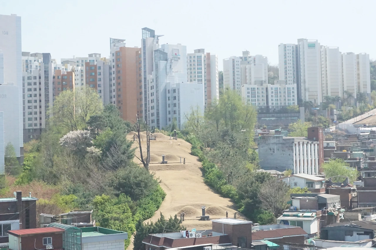 어느 종친의 묘지.JPG