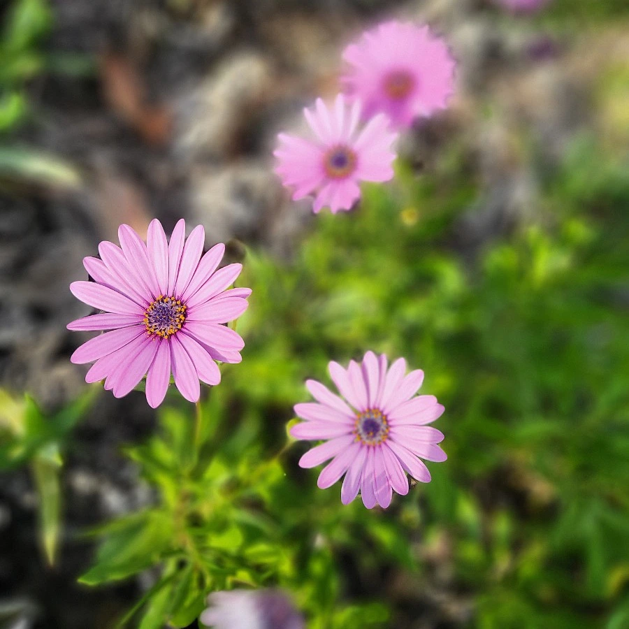 KakaoTalk_Photo_2023-02-22-03-22-32 011.jpeg