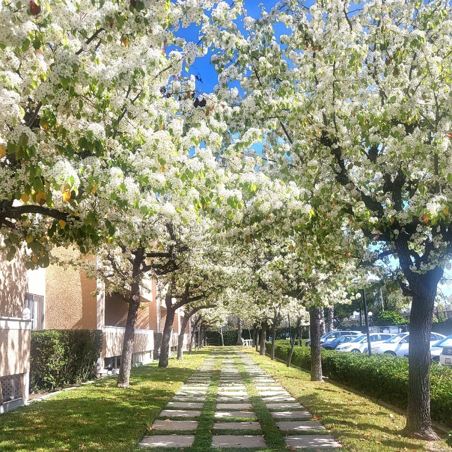 KakaoTalk_Photo_2023-02-22-03-22-32 010.jpeg