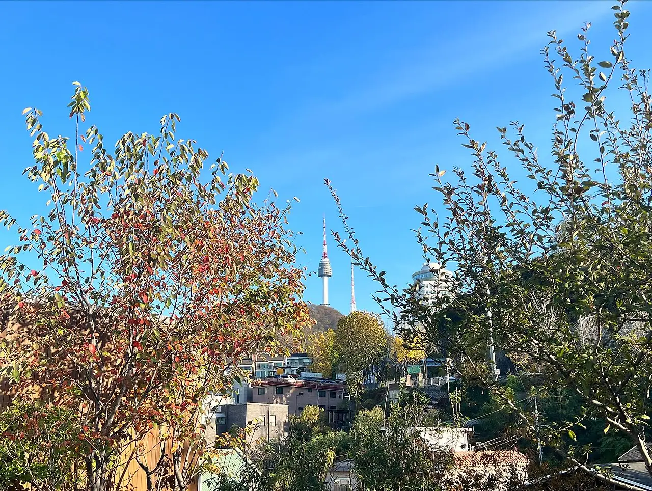 399788886_18397300435045353_1827945961758624710_n.jpg?_nc_cat=110&ccb=1-7&_nc_sid=5f2048&_nc_ohc=BGofBGVhC9oAX9q_9d8&_nc_ht=scontent-ssn1-1.xx&oh=00_AfD3VsLN5afbIqOpmtIl1KVykM_ApW3CTHmqroBC9RuXog&oe=6550FBEF