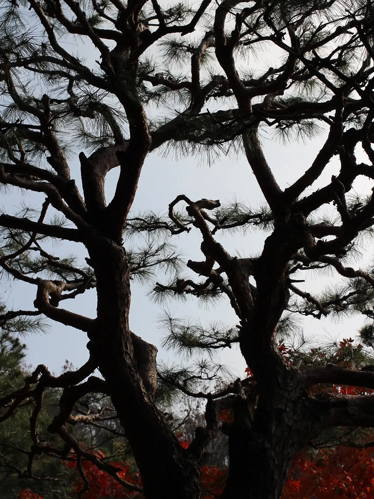 581506588_18541652806045353_6620959001239619217_n.jpg?_nc_cat=105&ccb=1-7&_nc_sid=127cfc&_nc_ohc=wknRWK3FdBcQ7kNvwGNvMCL&_nc_oc=Adko_94jakrbKZP5XRTKVnZ0ehstf29aAb7EEHlSgkq_Jn2gwTDMRkdepjBHFo7pi-4&_nc_zt=23&_nc_ht=scontent-ssn1-1.xx&_nc_gid=9czpGKoO9oPO_wJDB0kKqA&oh=00_AfprgWK7olM65-mcY3QXxfPsEb2H8hYLRgw9HOoF0Ffc5w&oe=695D42EB