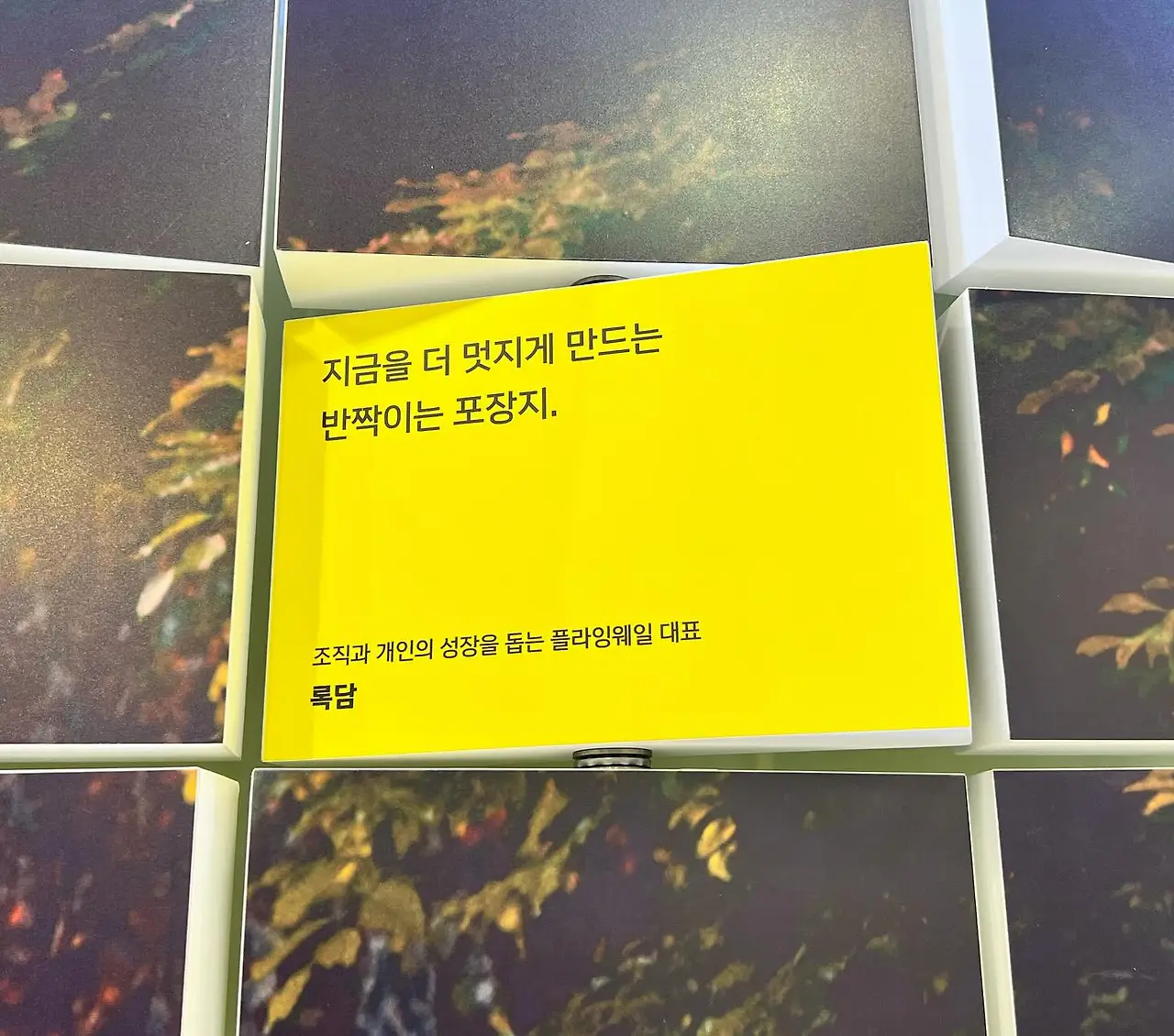 410931230_18405669346045353_246404234982008475_n.jpg?_nc_cat=104&ccb=1-7&_nc_sid=3635dc&_nc_ohc=0Hsj1GMvFjwAX_p7yuG&_nc_ht=scontent-ssn1-1.xx&oh=00_AfCadq5NVxM_hDVu5YaRhWQ5CTxTxLTvl4TMfWihEryNHQ&oe=6595D09B