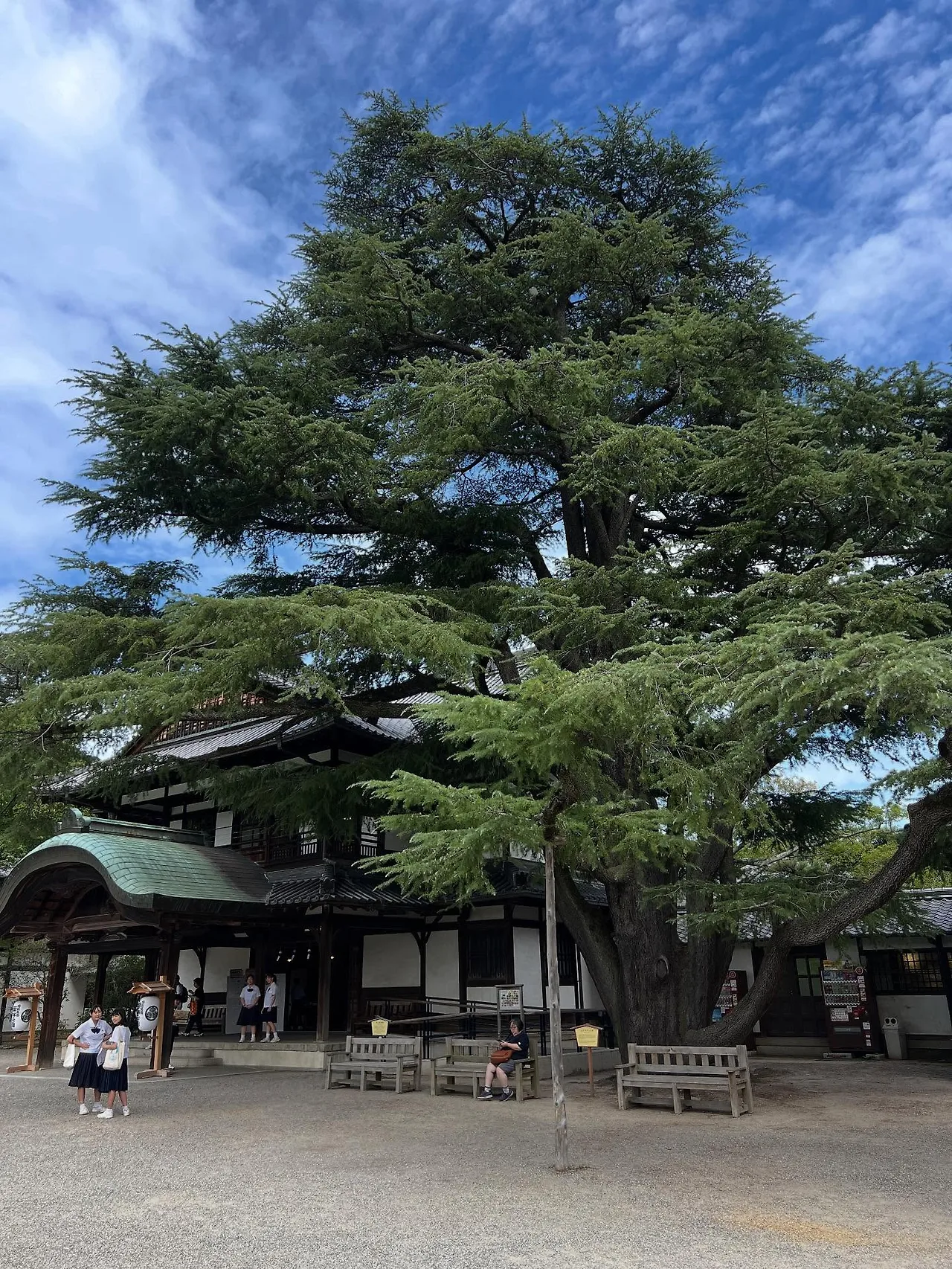 554797111_18530110825045353_298201376186587766_n.jpg?stp=dst-jpegr_tt6&_nc_cat=108&ccb=1-7&_nc_sid=127cfc&_nc_ohc=8jJLsc3_0oMQ7kNvwEVFBNe&_nc_oc=AdkziXa3S0pxpD8_SIjKhuIDjnpIHFdz7vGcOHnsSrjgOKQJmlNluA_8iAx3bHRaAT0&_nc_zt=23&se=-1&_nc_ht=scontent-ssn1-1.xx&_nc_gid=8cpvxU0-LkhEyI3__qNjJg&oh=00_AfcNJJlXQynLQcXNFzigPlYIrxnLEeKo7qFsU7q-O4H08A&oe=68E6FD05