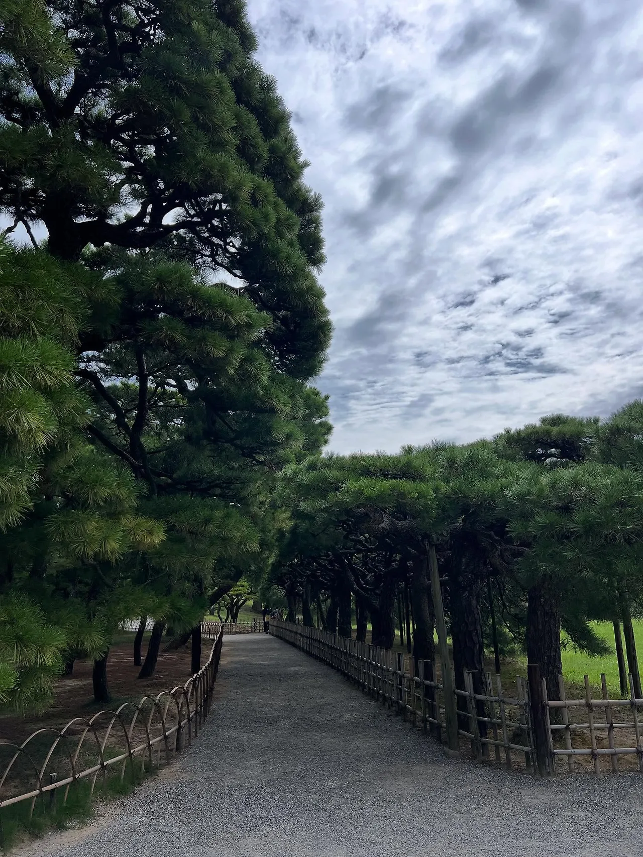 554872629_18530110852045353_378943129519339160_n.jpg?stp=dst-jpegr_tt6&_nc_cat=110&ccb=1-7&_nc_sid=127cfc&_nc_ohc=aEAsO0t5VVoQ7kNvwFh-NMR&_nc_oc=AdlYFMWlDyjhjCrWhlwZkJcCWRohTRbcapYNA2ErnxlLXHY_bBq9ZMgin1JGWhtgiSY&_nc_zt=23&se=-1&_nc_ht=scontent-ssn1-1.xx&_nc_gid=qY9phA9ff36KKKr1kCVm9g&oh=00_AffgGKk5MA9uJqR-a-M1aiQO3CCoEb45kOYcptHvIw3rbQ&oe=68E7228B