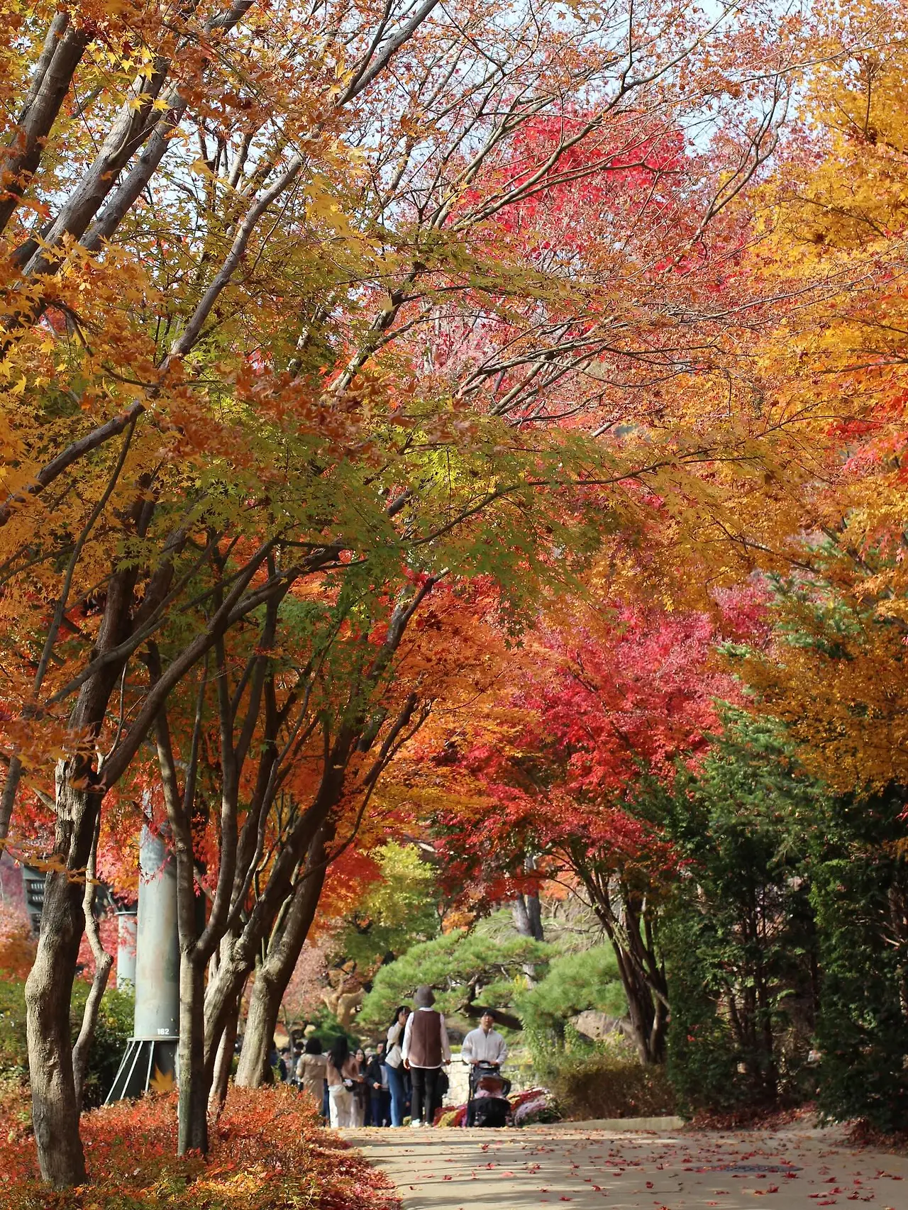 582752594_18541652869045353_6909409255554630313_n.jpg?_nc_cat=105&ccb=1-7&_nc_sid=127cfc&_nc_ohc=fs5CNBaKk2oQ7kNvwG3kqtd&_nc_oc=AdkoQoPkhxSdVrQnsG9mfhvTmUQUK-_IosGYduoN6nWomFPZ8SKKDuENpyhsGAj_CSA&_nc_zt=23&_nc_ht=scontent-ssn1-1.xx&_nc_gid=2DY3D2zQPVbjQWUKebbAxw&oh=00_AfrLSM9j3kluSZanDbBGkH_FjF8pbRvpZ9kbu-6uDo8GHA&oe=695D4150