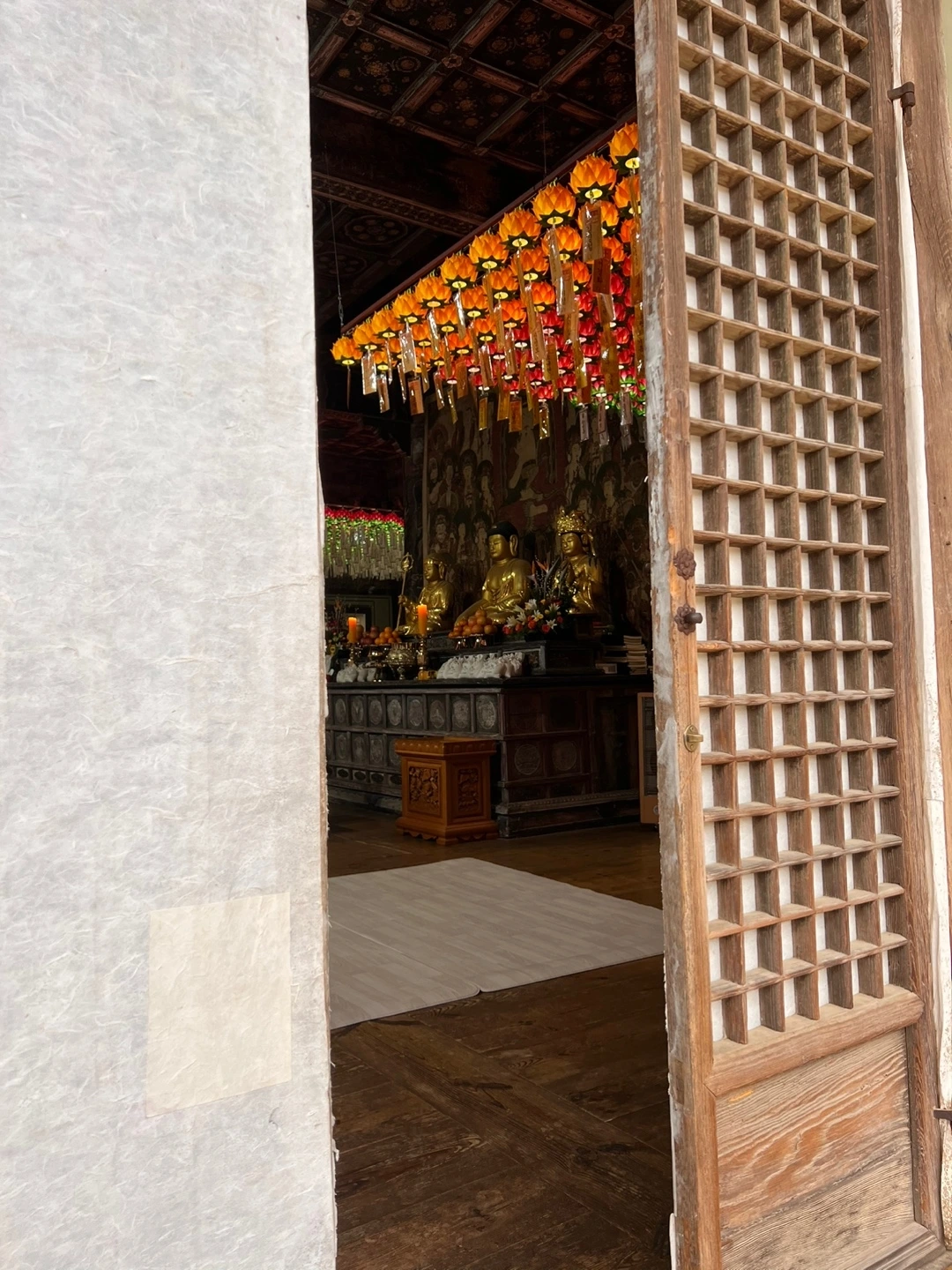 KakaoTalk_Photo_2023-02-04-13-46-20 016.jpeg