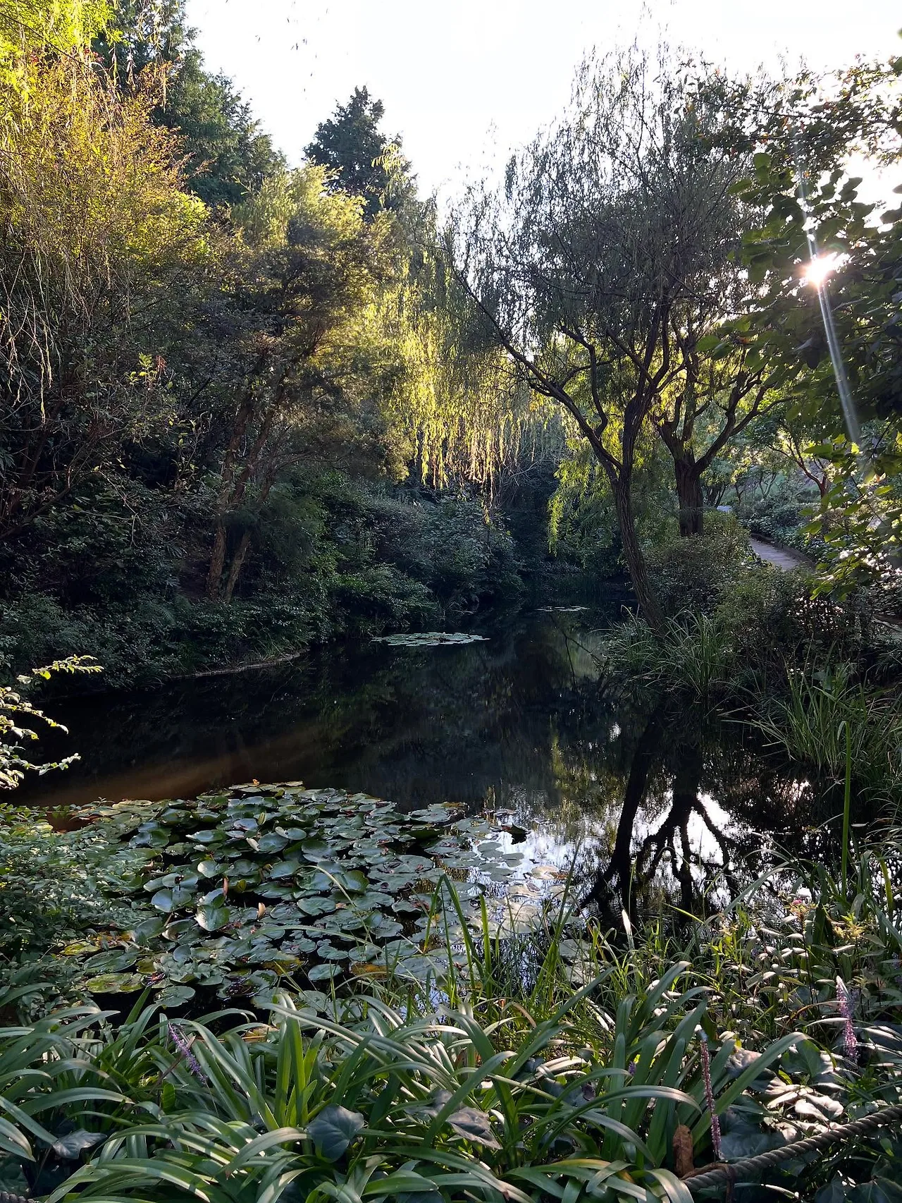 553404370_18530113945045353_5110253943321502743_n.jpg?stp=dst-jpegr_tt6&_nc_cat=104&ccb=1-7&_nc_sid=127cfc&_nc_ohc=AfBDkomLtZYQ7kNvwHck3mv&_nc_oc=AdnnmzcZSQdJTwM03AAuvACNGTYU-n9_u02lQbXa8ap0BNPxYtO11_DG2qMEJ-6D6CE&_nc_zt=23&se=-1&_nc_ht=scontent-ssn1-1.xx&_nc_gid=WbZOF9yNiGRBKaPKzKpG7w&oh=00_AfePKXCQfkyznPOhAhRIIbTeBXs2qrzo4UUjBtZ_zp8rMw&oe=68E70785